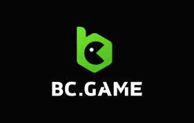 BCStavka Casino Overview A Comprehensive Guide 729896660
